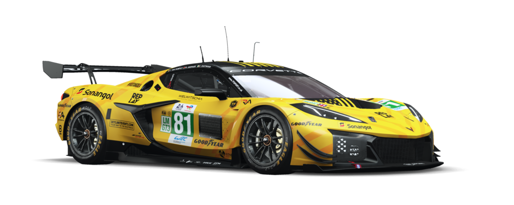 TF Sport 2025 #81:LM